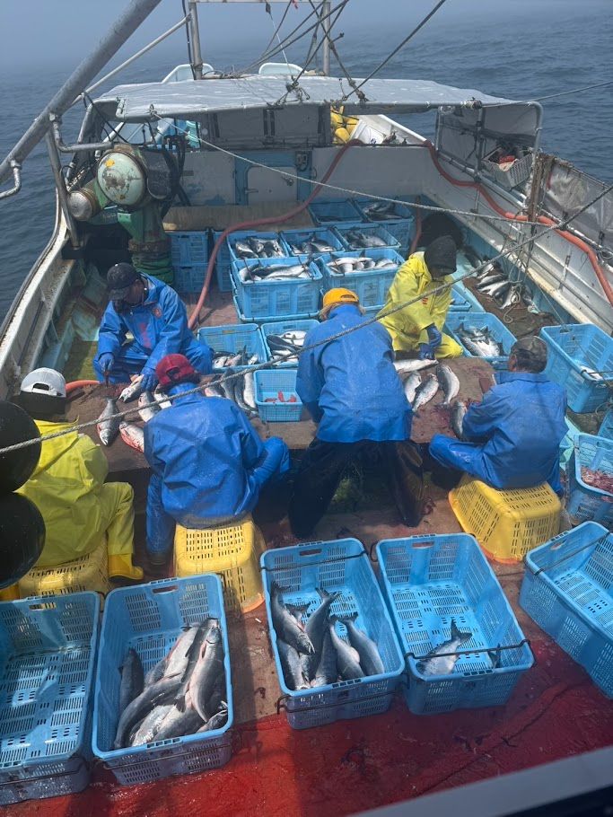 さけます流し網